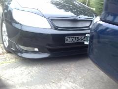 my new plates MOU554